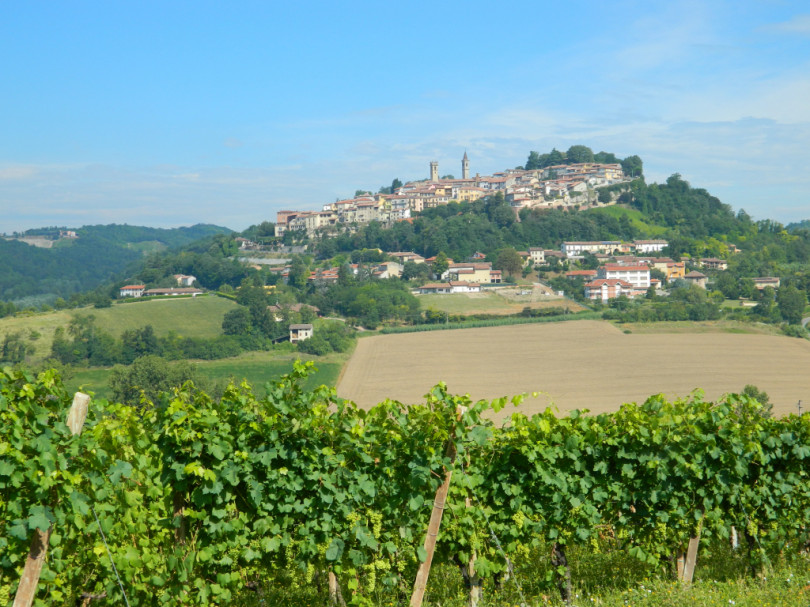 Alto Piemonte Gran Monferrato presenta la sua candidatura a Territorio Europeo del vino 2024